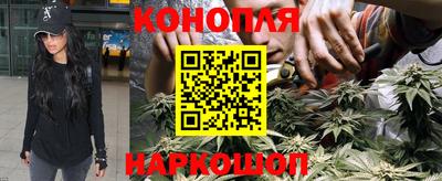 наркотики Будённовск