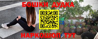 наркотики Будённовск