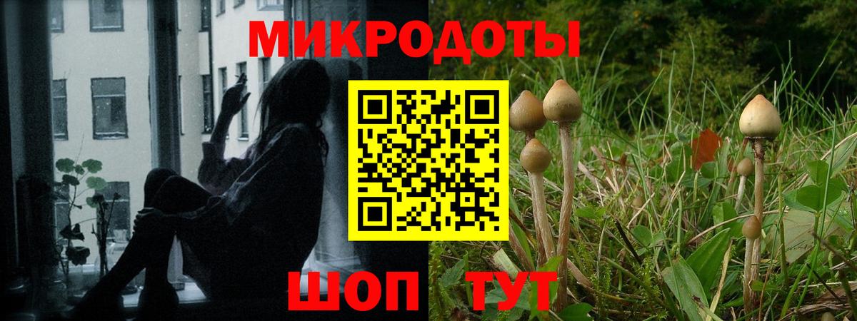 Щёкино  Галлюциногенные грибы мухоморы  Вход с VPN 