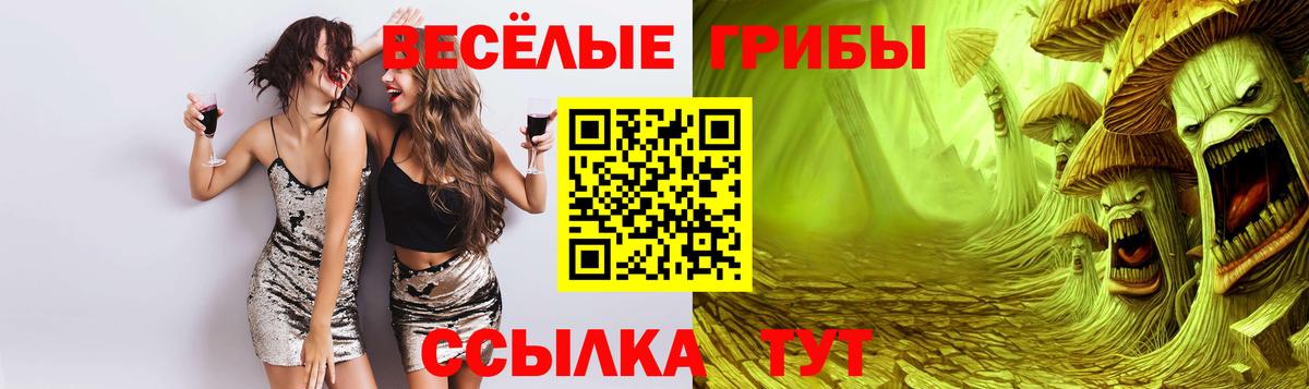 Псилоцибиновые грибы MAGIC MUSHROOMS Щёкино