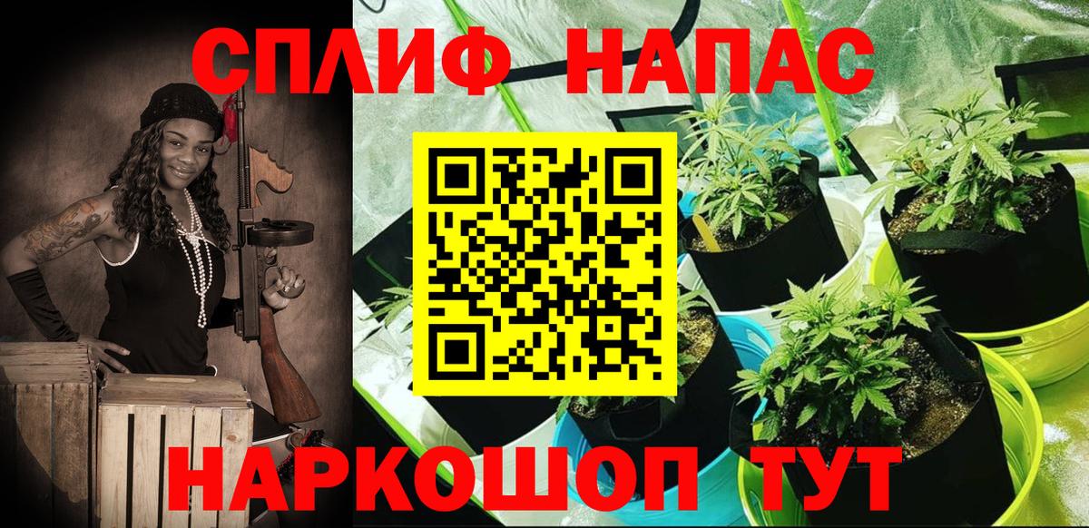 Бошки Шишки White Widow  Шишки марихуана семена  Вход с VPN  Бошки Шишки AK-47  Щёкино  Марихуана план 